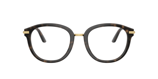 DG3410 Dolce & Gabbana Havana On White Barrow
