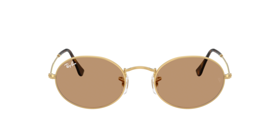 RB3547 Oval Metal Summer Capsule Ray-Ban Arista Gold