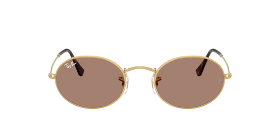 RB3547 Oval Metal Summer Capsule Ray-Ban Arista Gold