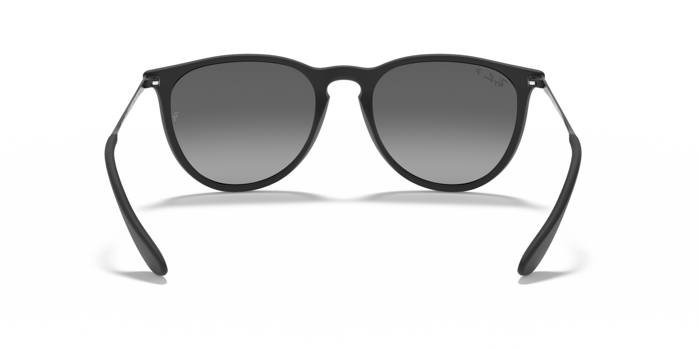 Sunglasses Ray-Ban RB4171 Erika Color Mix | Free Shipping Sunglasses Ray-Ban RB4171 Erika Color Mix | Free Shipping