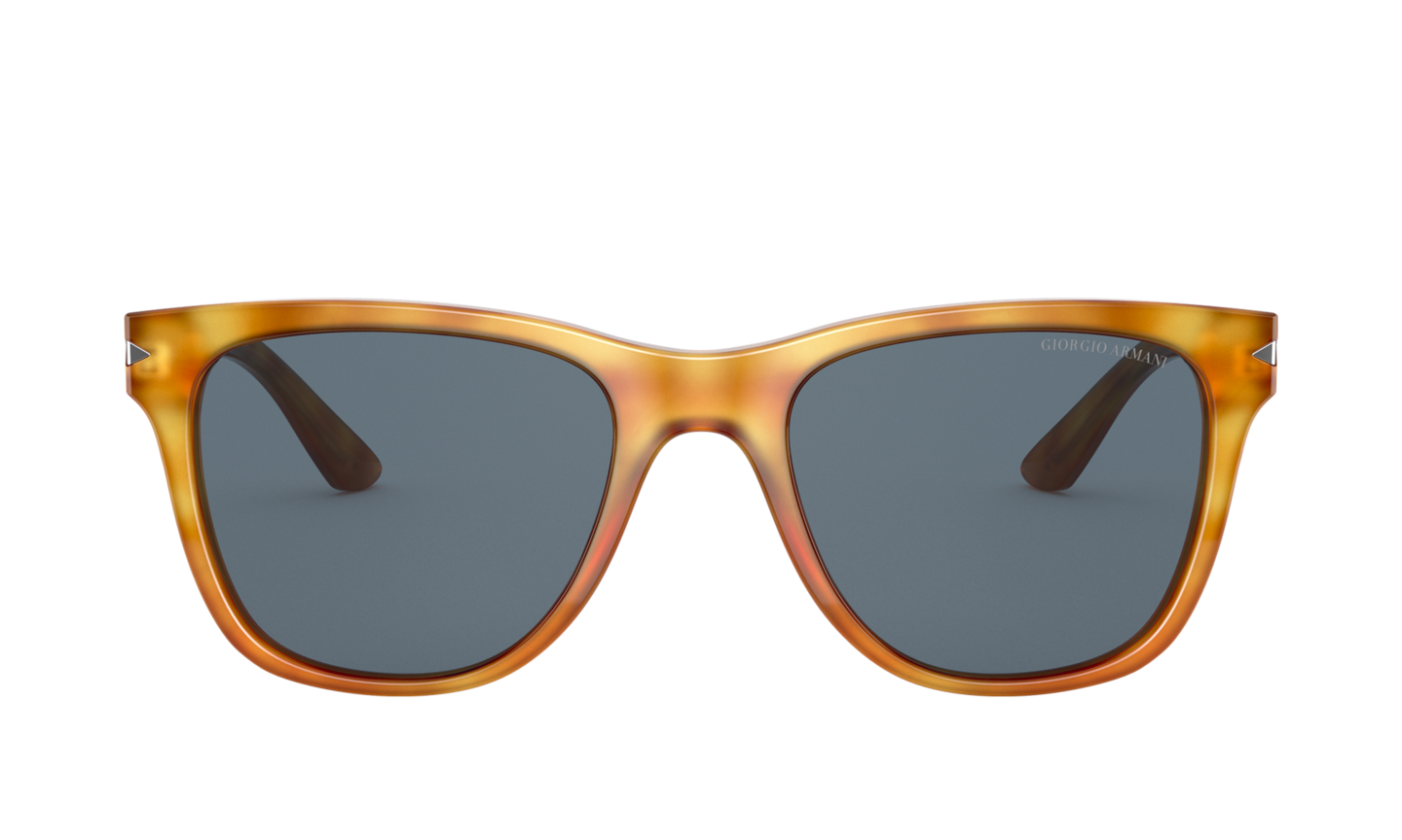 Giorgio Armani Thatch Havana Sunglasses ® | Free Shipping