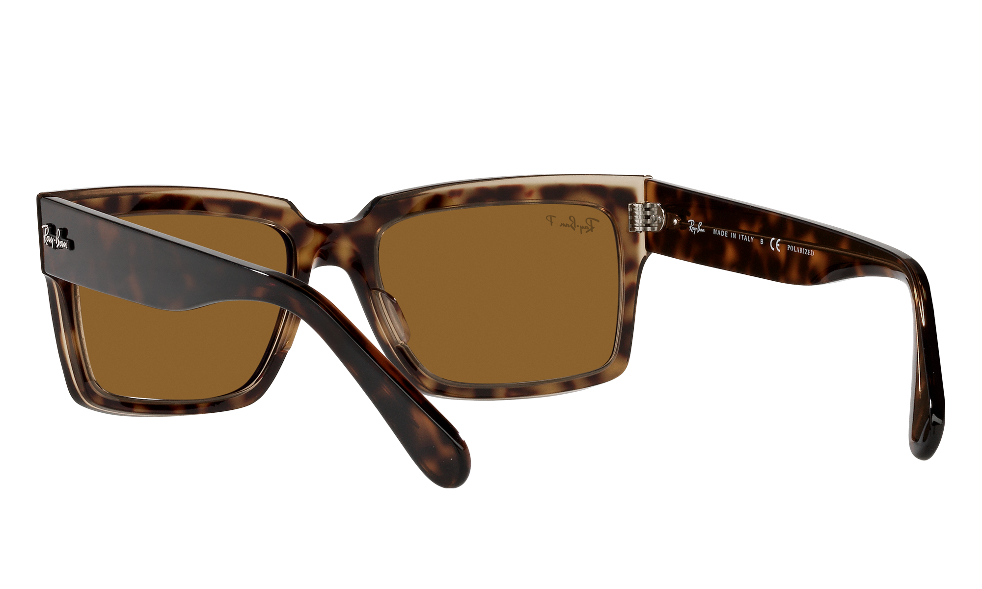 ryders empress sunglasses