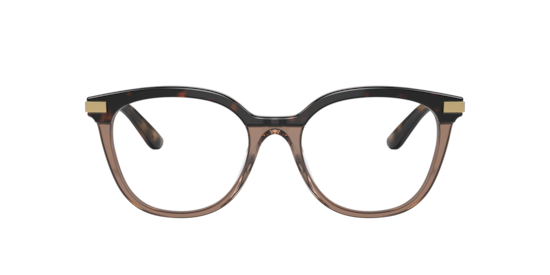 DG3346 Dolce & Gabbana Havana /Transparent Brown