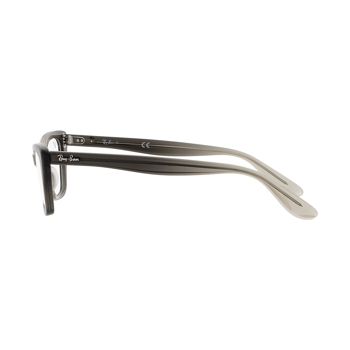 Eyeglasses Ray-Ban RB5499 Lady Burbank Optics | Free