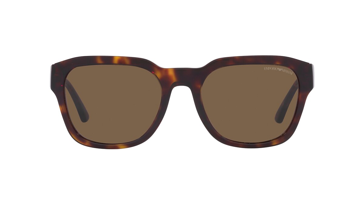 Bally Shiny Classic Havana & Vintage Brown Geometric Sunglasses