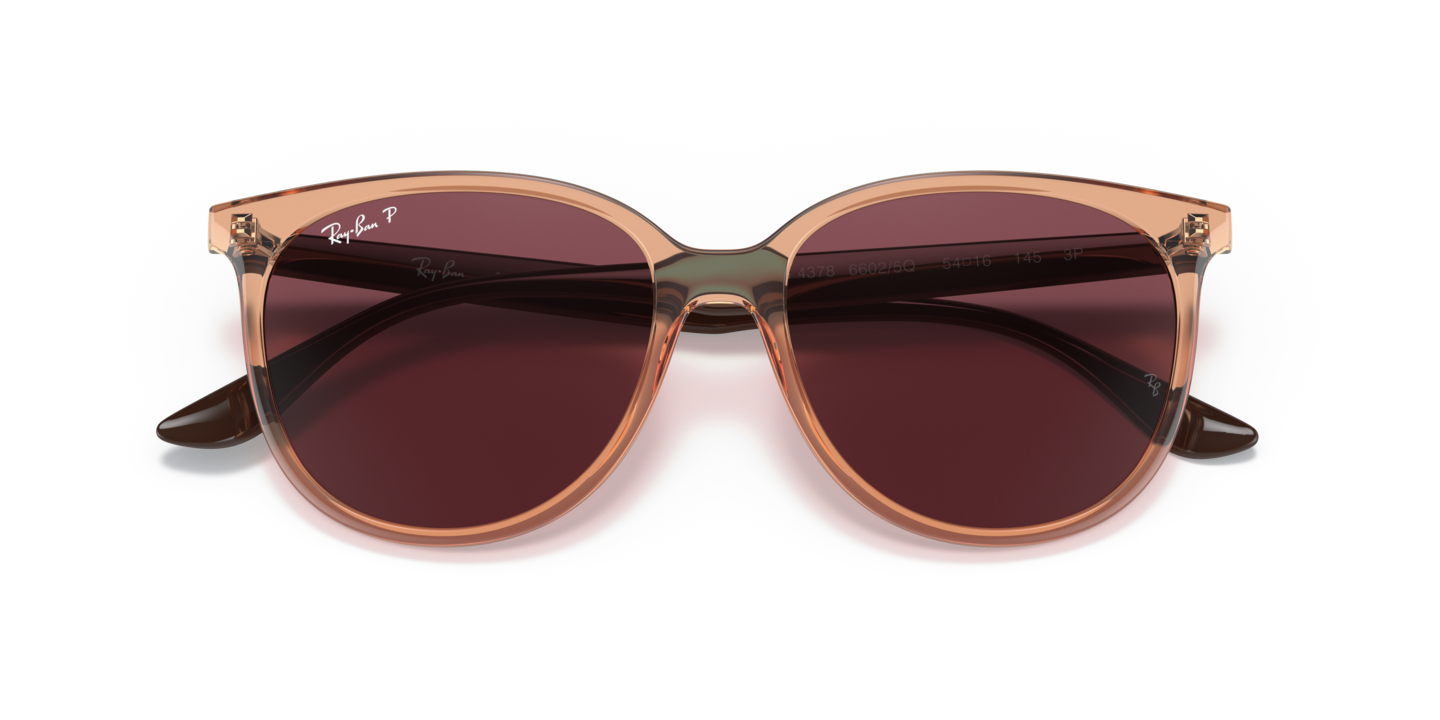 Ray Ban Transparent Brown Sunglasses Glasses Com Free Shipping