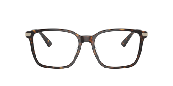 PH2255U Polo Ralph Lauren Shiny Dark Havana