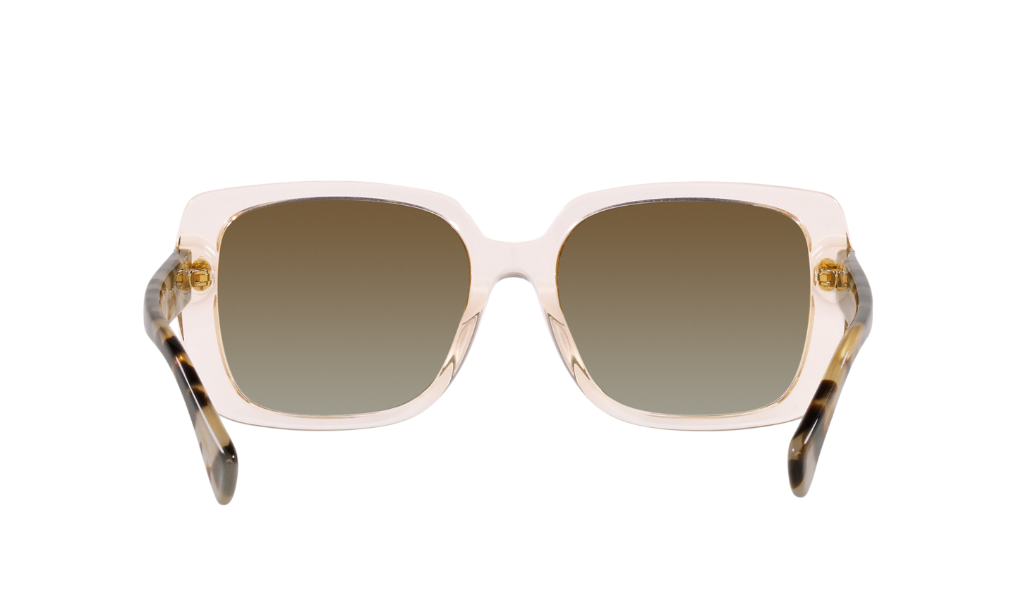 Ralph by Ralph Lauren Transparent Light Brown Sunglasses | Glasses