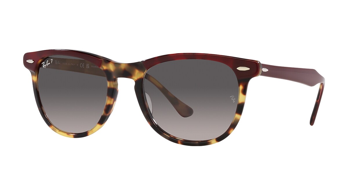 Ray best sale ban bordeaux