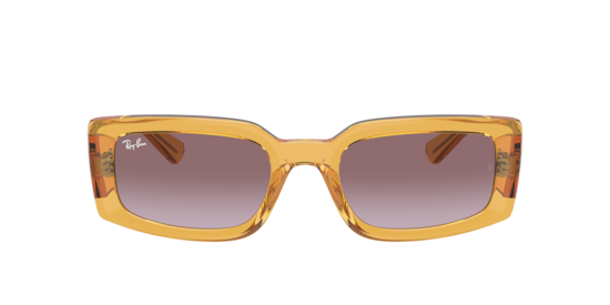 Brown hotsell transparent sunglasses