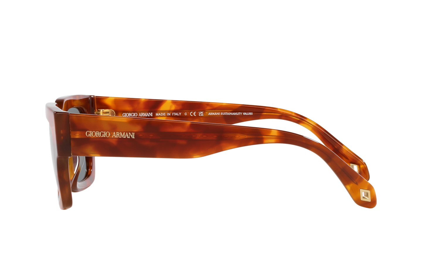 Giorgio armani hotsell tortoise shell sunglasses