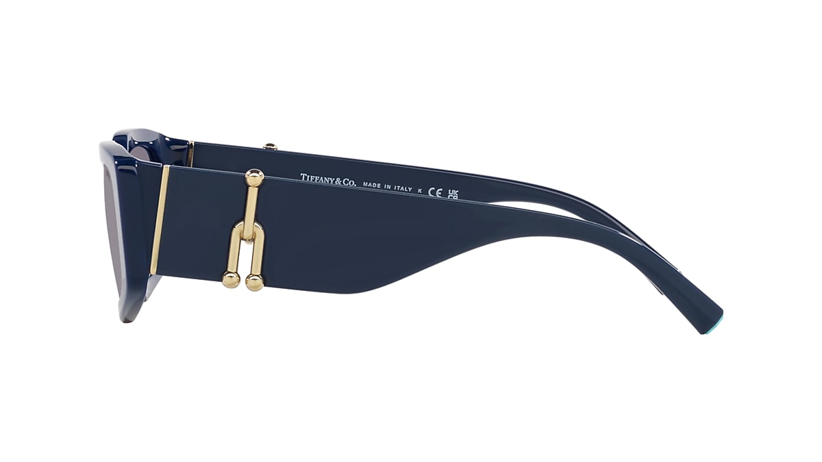 Sunglasses Tiffany TF4208U Steve Mcqueen | Free Shipping