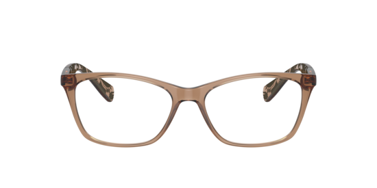 RA7071 Ralph by Ralph Lauren Shiny Trasparent Brown