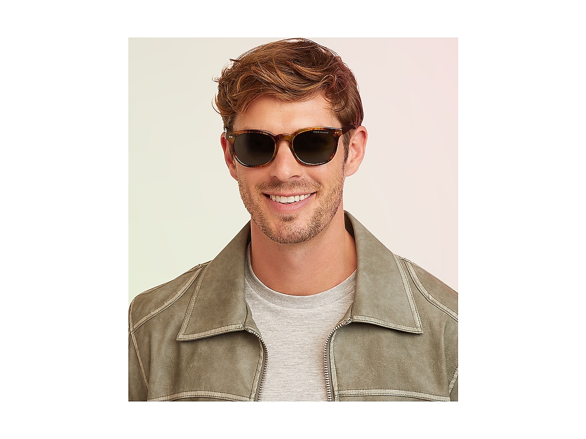 Sunglasses Polo Ralph Lauren PH4206 | Free Shipping