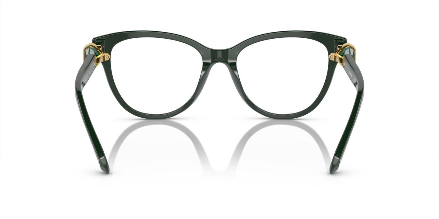 Eyeglasses Swarovski SK2004 | Free Shipping | Glasses.com®