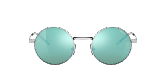 AN3083 DROPHEAD Arnette Brushed Silver