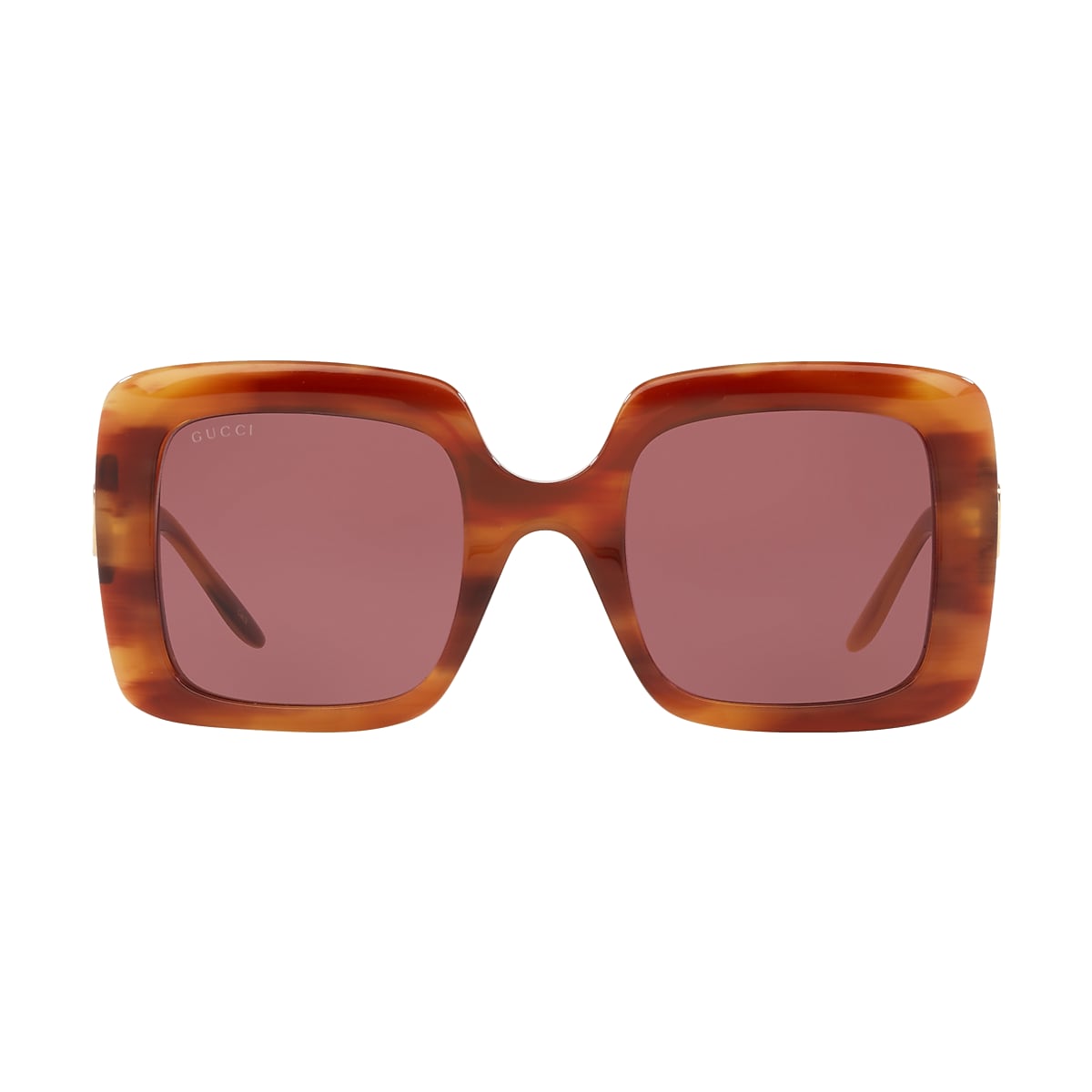 Gucci Brown Acetate Frame Sunglasses GG0258SA